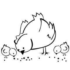 black and white hen and two chickens