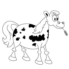 black and white horse