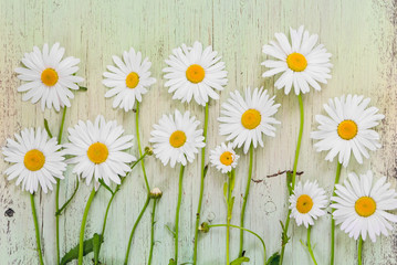 Chamomile flowers on light wooden rustic background. Flat lay composition. Top view.