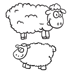 black and white two sheep