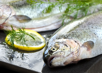 Rainbow trout on a stone gray board with dill and lemon