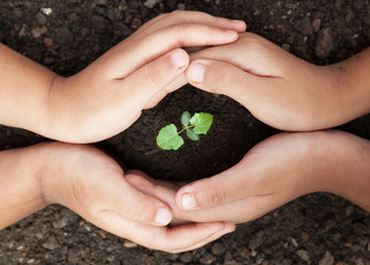 child hands protect soil with sprout