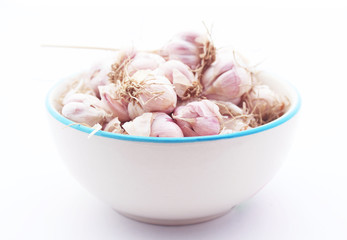 Garlic isolated on white background