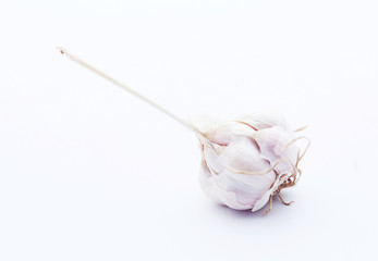 Garlic isolated on white background
