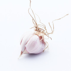 Garlic isolated on white background