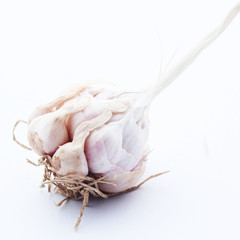 Garlic isolated on white background