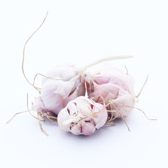 Garlic isolated on white background