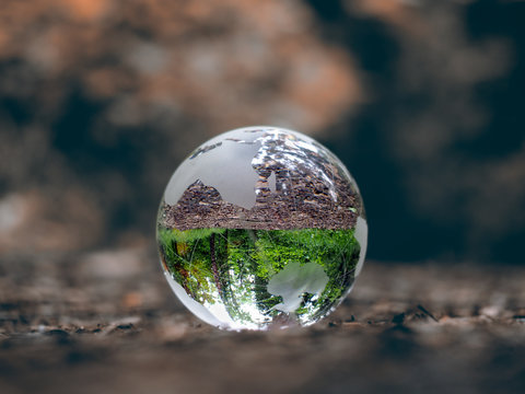 Globe on dry land. In the bowl of green trees, grass.
Glass - a material, concepts and themes, concepts, environment, nature, ecology, drought