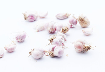 Garlic isolated on white background