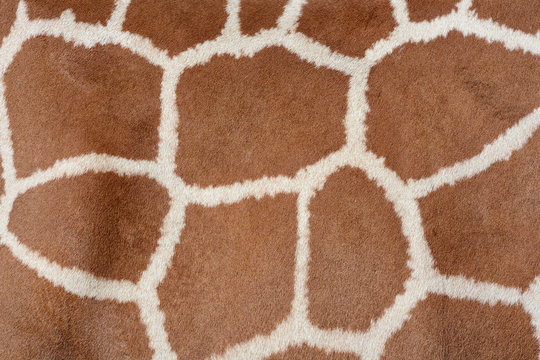 Animal background texture of a giraffe spots pattern