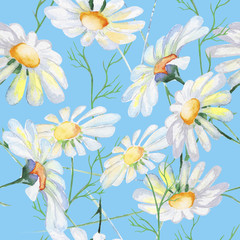 wild flower on a blue background, daisy, watercolor, pattern