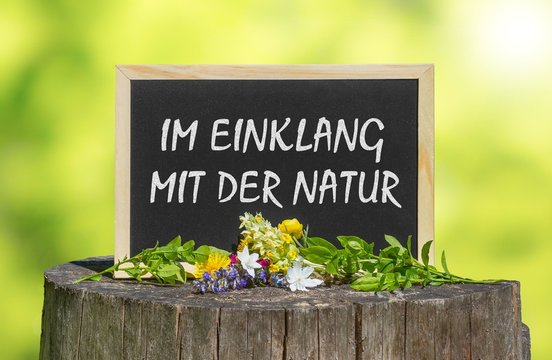 Im Einklang mit der Natur