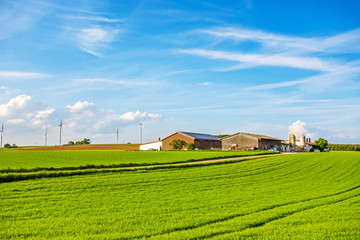 Farm surrounded by meadow / field