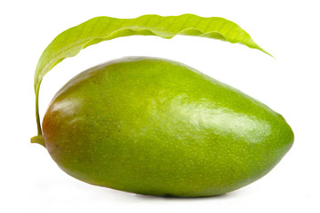 Green mongo with leaf isolated white background