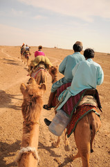 Unidentified people ride camels during safari in Jaisalmer, India. Camel safaris in Thar desert are very popular among tourists from Jaisalmer.