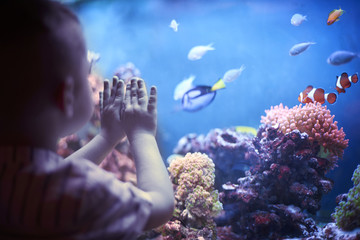 Fototapeta premium Little boy in the aquarium