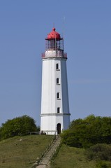Fototapeta na wymiar Leuchtturm, Dornbusch, Hiddensee