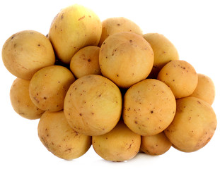 wollongong on white background