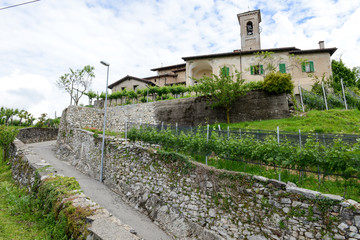 The church of San Zeno at Salorino surrounded by vineyards