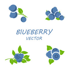 Vector flat blueberry icons set
