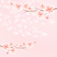 Fototapeta na wymiar Flowers background. Flowers design. Vector abstract illustration. Sakura blossoms. Branch of sakura with flowers. Cherry blossom branch on pink. Vector