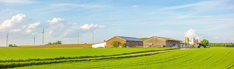 Fototapeta na wymiar Farm panorama surrounded by meadow / field