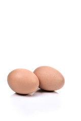 brown chicken egg on white background