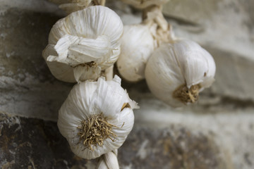 Bunch of garlic hanging on а wall