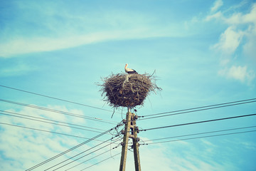 Retro toned stork nest on a power line pole