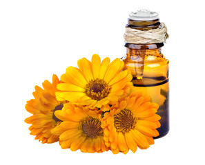 Essential oil made from marigold on a white background