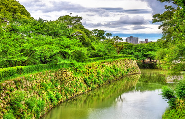 Fototapeta na wymiar Moat at Himeji Castle in Japan