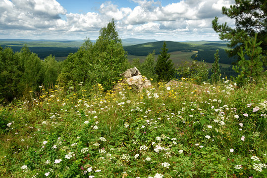 Wild flowers on Lipovaya Mount