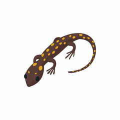 Lizard icon, cartoon style