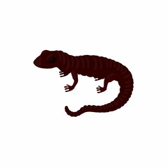 Lizard icon, cartoon style