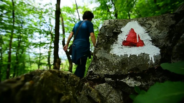 Hiking in the forest. Hiker on a trail passing by a hiking sign.