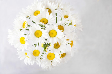   bouquet of white daisies  on a light gray background