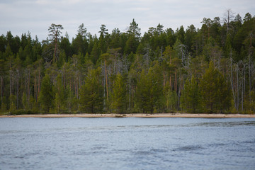 Portrait of a beautiful nature in Russia landscape