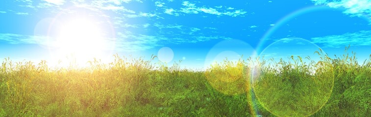 Obraz na płótnie Canvas green grass on a blue sky 