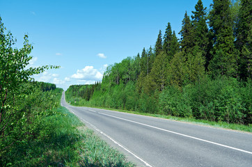 road in Russian forest
