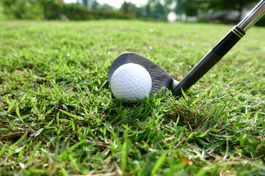 Golf balls  on green grass background