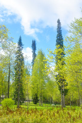 Landscape in Pusupuisto Park of Lappeenranta.