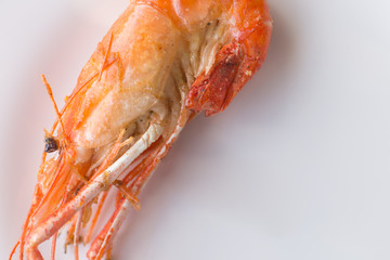 Close-up of fried shrimp with salt on dish