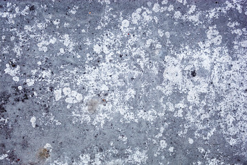 Grey concrete surface