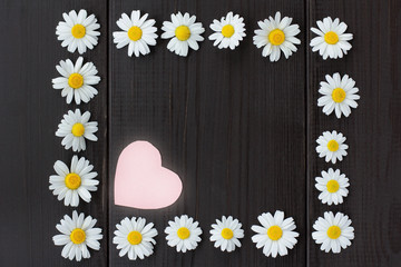 Obraz premium romantic floral frame/ flat lay of daisies forming a frame on a dark wooden background with heart symbol in top view 