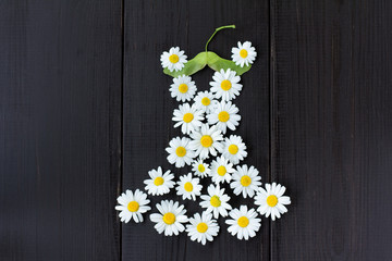 Obraz premium summer wardrobe with fashionable floral dress/ idea a summer dress of daisies on a green maple seeds hanger 
