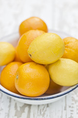 Orangen und Zitronen in der Schale