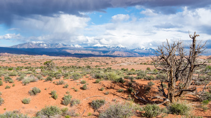 Storm Clouds, La Sal Mountains Viewpoint, Arches National Park, UT