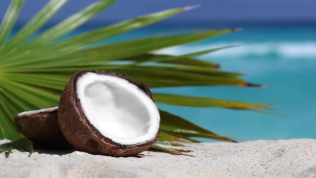 Two halfs of cracked brown coconut on white sandy beach with palms leaf and turquoise sea background, closeup
