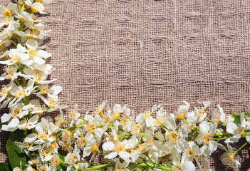 Spring flowering branch on textile background. Frame