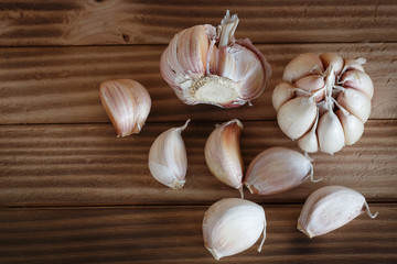 Garlic on wood background